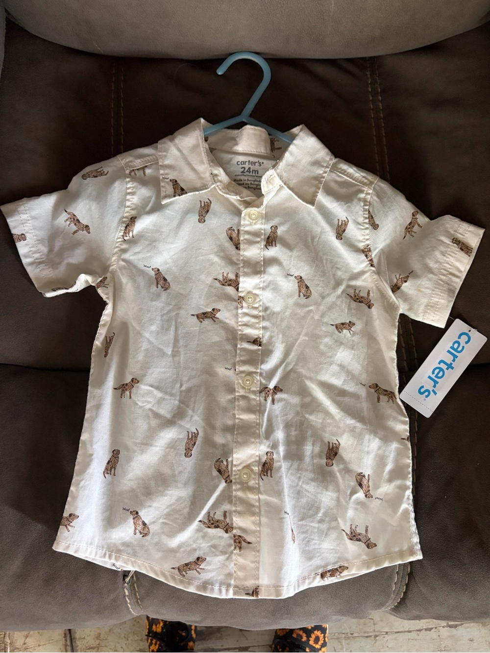 Dog button up